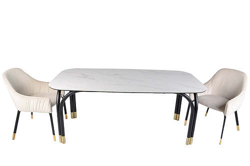 Dining Table& Dining Chair 6418&E4588