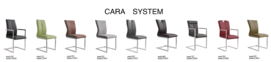 Ddining Chair Cara System