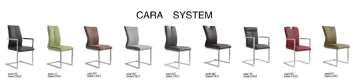Ddining Chair Cara System
