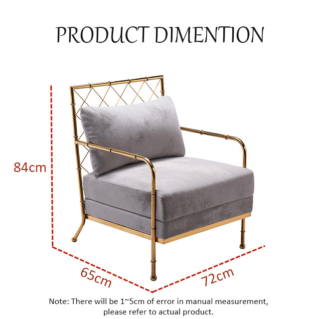 Contemporary Furniture Fabric Golden Fence Mesh Leisure Chair For Living Room