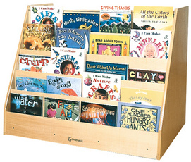 Book Display with Easel or Shelf Storage