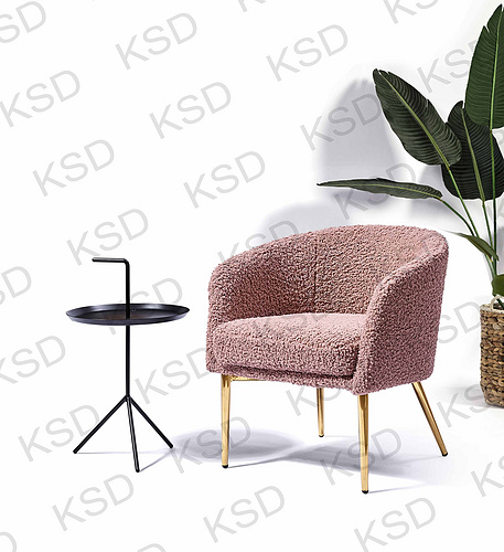 MODERN LOUNGE CHAIR WITH ARMREST