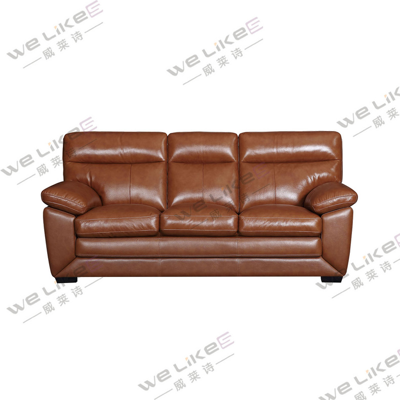 ZM675 Welikes Modern Leather Sofa