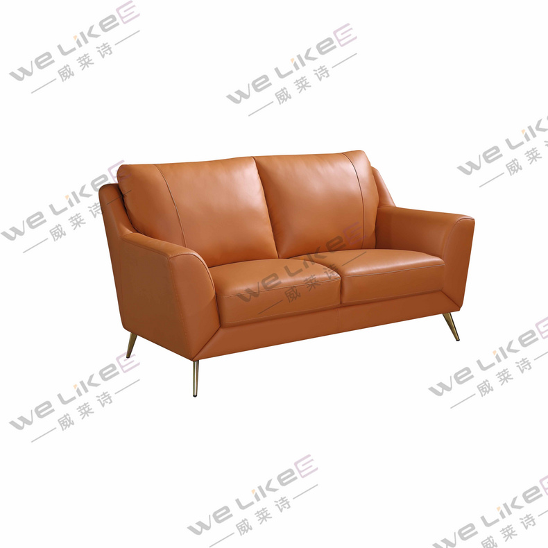 ZM806 Welikes Modern Leather Sofa