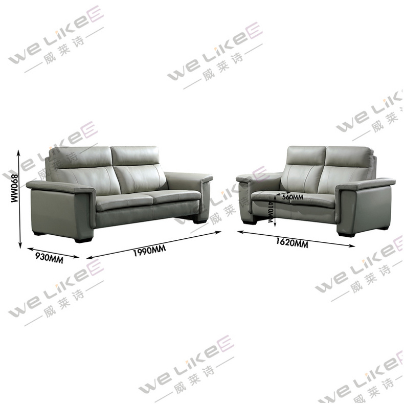 ZM798 Welikes Modern Leather Sofa