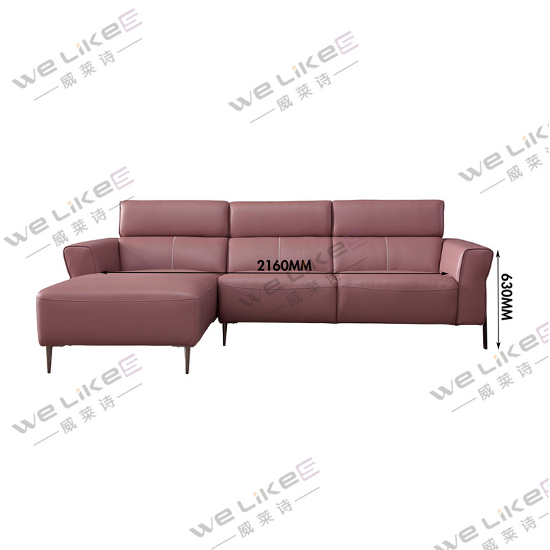 Leather Sofa-Welikes ZM795