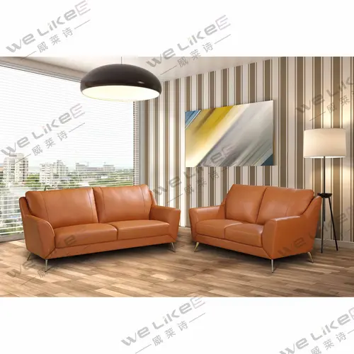 ZM806 Welikes Modern Leather Sofa