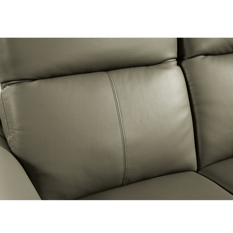 Leather Sofa-Welikes ZM793