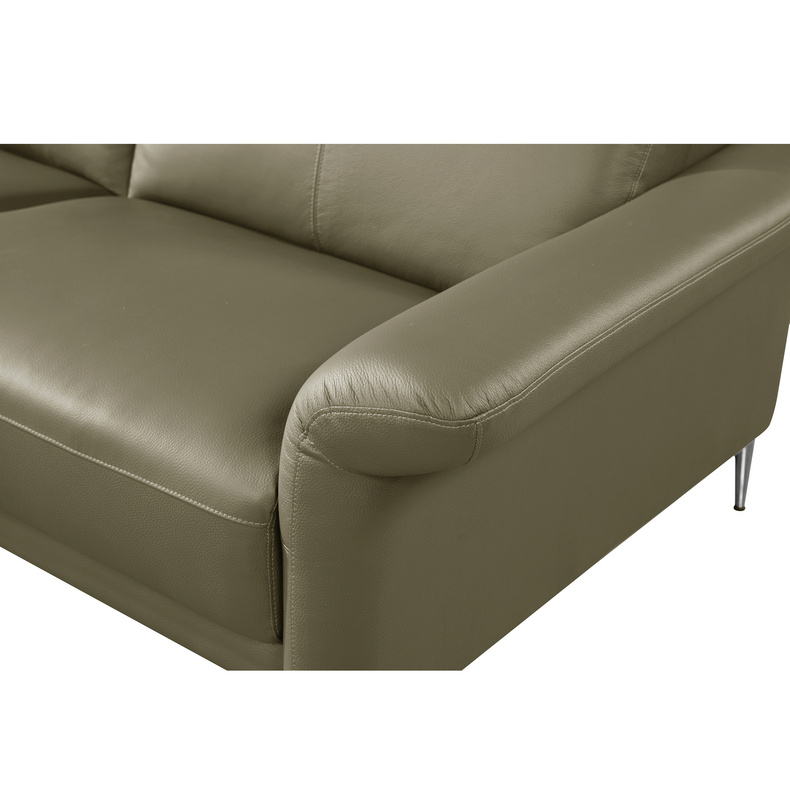 Leather Sofa-Welikes ZM793