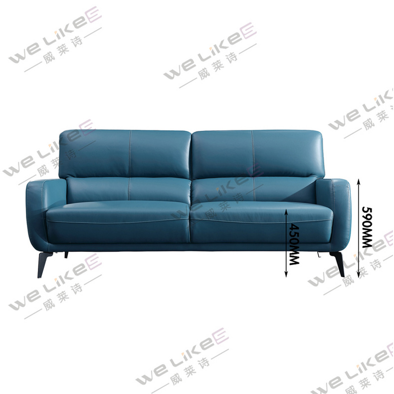 Leather Sofa-Welikes ZM796