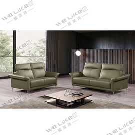 Leather Sofa-Welikes ZM793