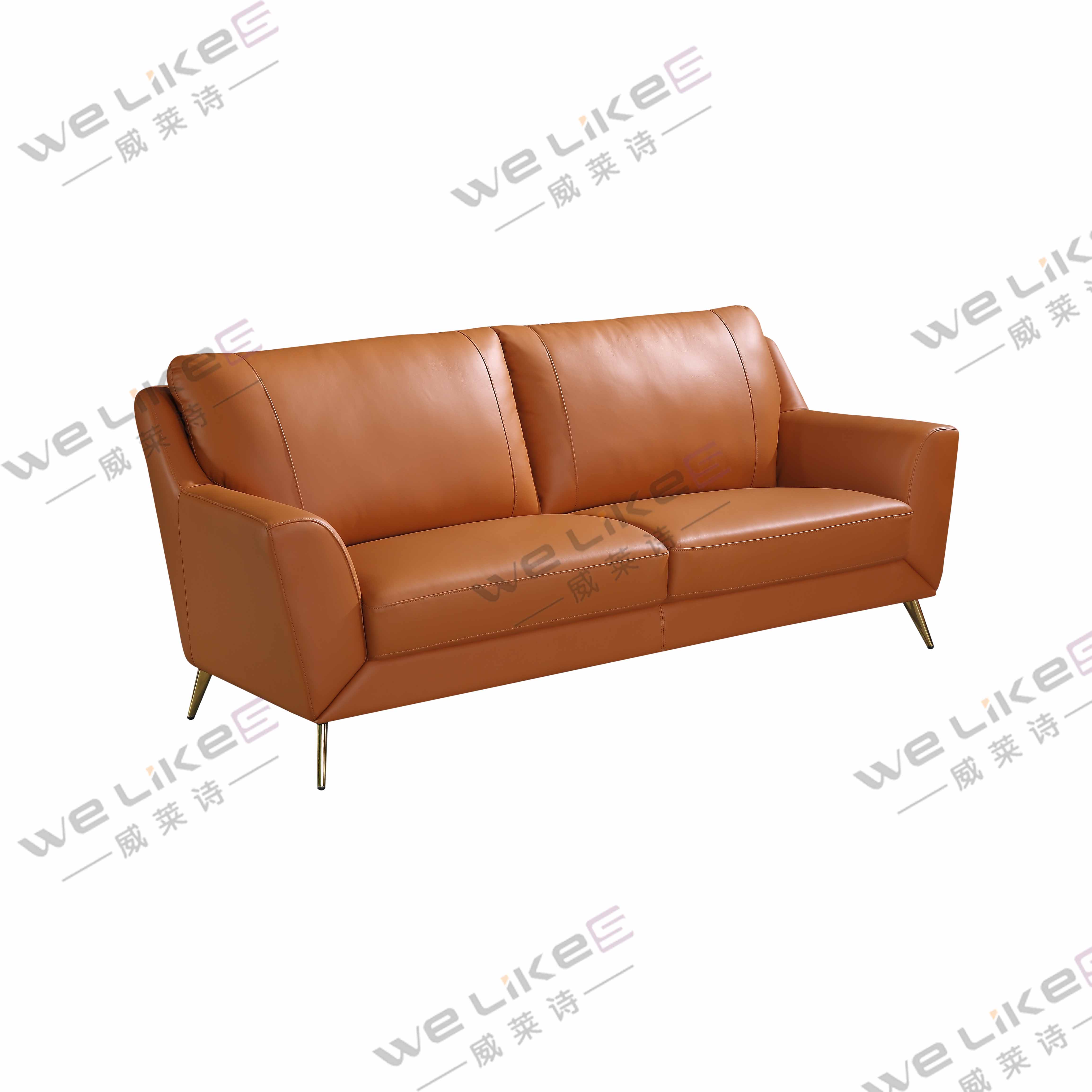 ZM806 Welikes Modern Leather Sofa