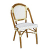 PE Rattan Dining Chair B175