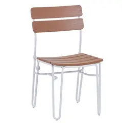 Plastic Wood Dining Chair