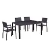 Plastic Wood Table and Chairs Set