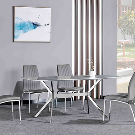 modern dining table and chairs DT-981