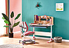 Student desk for home