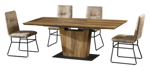 dining table DT1405