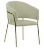 High class special velvet dining chair with golden chrome
