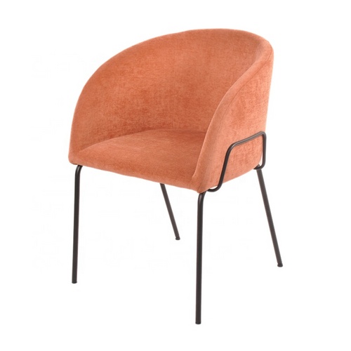 dining chair Y1941