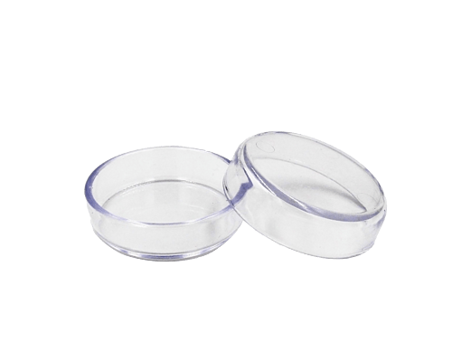 caster cups  castor cups