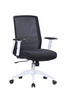 W-168 Modern Office Computer Chir