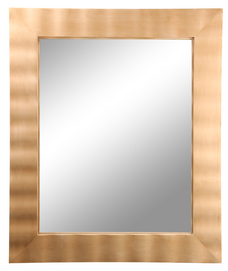Rectangular Mirror with Metallic Finish Frame, Plastic Mirror
