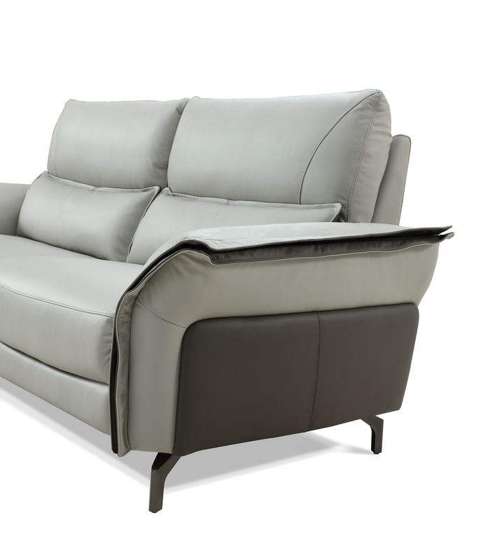 Power Recliner Sofa/Fixed Sofa-6306