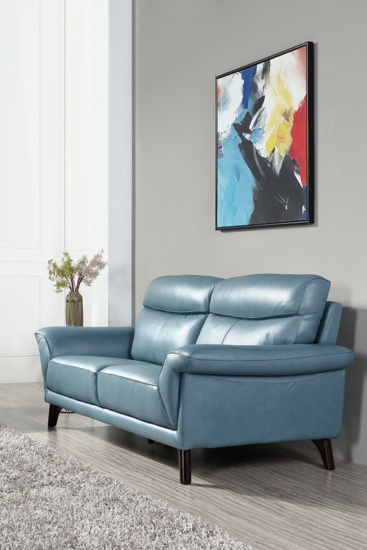 Leather Fixed Sofa/ Stationary Sofa-6292