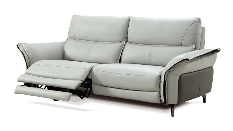 Power Recliner Sofa/Fixed Sofa-6306