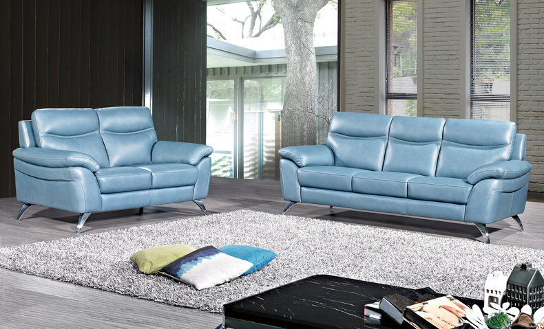 Leather Fixed Sofa/ Stationary Sofa- 6234