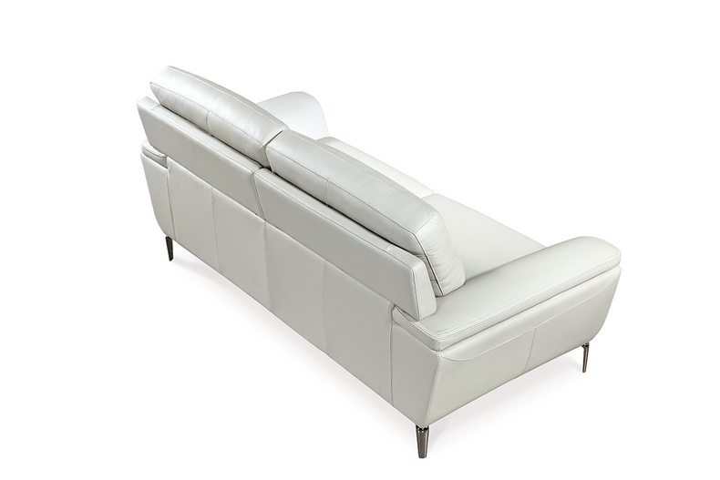 Fixed Sofa/Stationary Sofa-6296