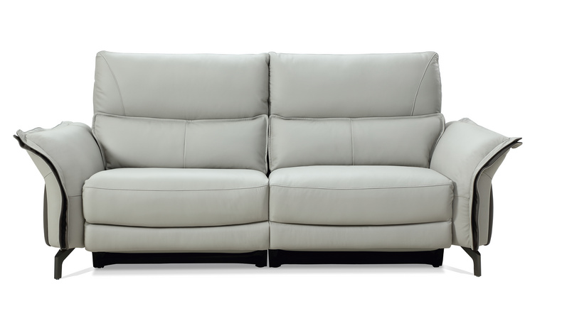 Power Recliner Sofa/Fixed Sofa-6306