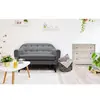 Uupholstered Light Luxury Grey Fabric Sofas