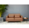 Leather Double Sofa