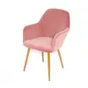 French Luxury Velvet Dining Chair