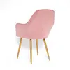 French Luxury Velvet Dining Chair