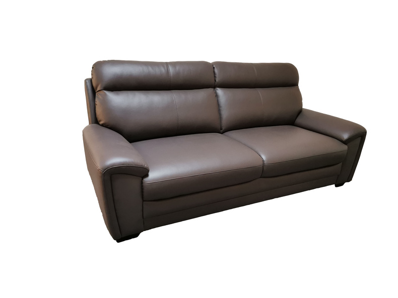 Modern Light Luxury Leather Sofa-RX04