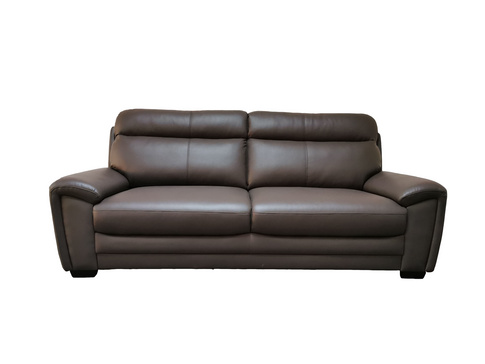 Modern Light Luxury Leather Sofa-RX04