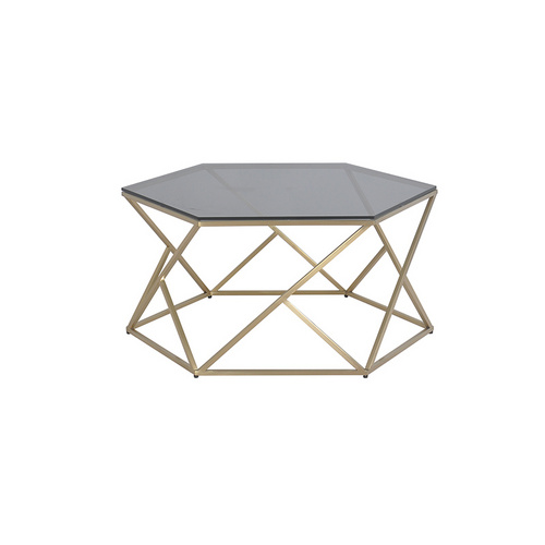 TS199008CT1 Smoke Glass Golden Frame Coffee Table