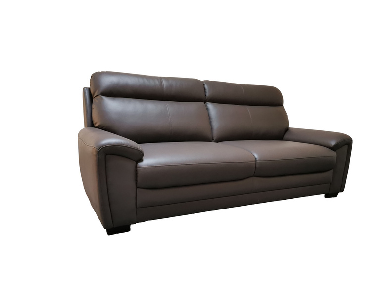 Modern Light Luxury Leather Sofa-RX04