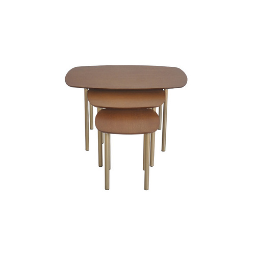 TS199030CT MDF+ash veneer  nesting coffee table