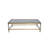 TS199047CT gray Tempered Glass coffee table