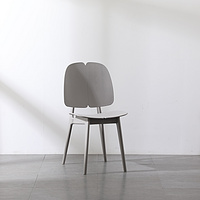 Modern Nordic Simple Dining Kitchen Multicolor Plastic Chair (Pantone)