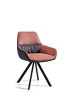 Dining Chair F528PZ