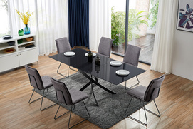 Dining TableE198  &  Dining Chair F512