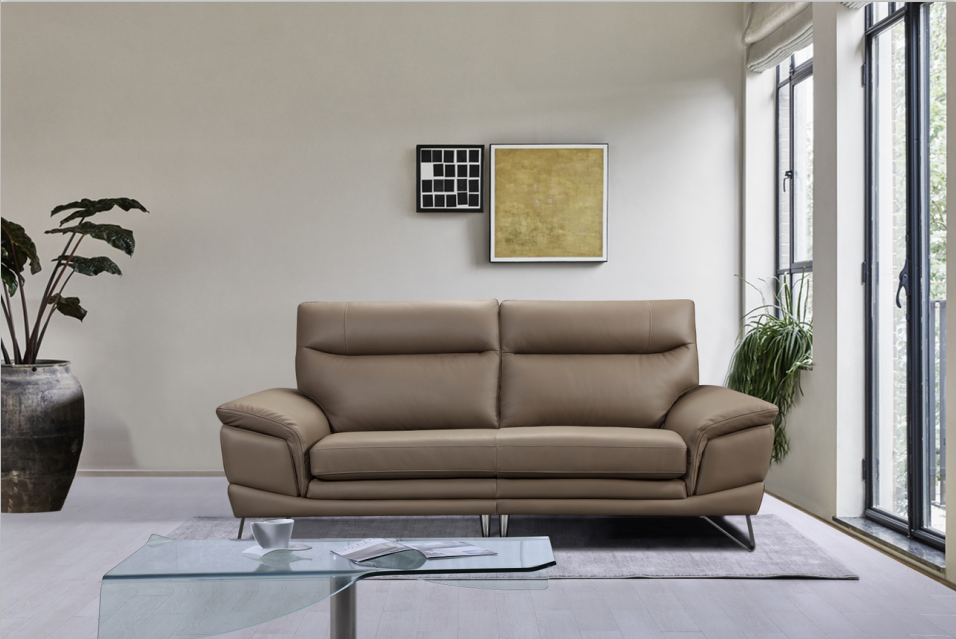 Modern Leather Fixed Sofa Bed-6376