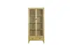 Environmentally friendly recyclable elm bookcase