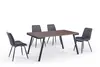 Nordic dining chair combination small family household simple modern Loft retro dining table furniture GD-212