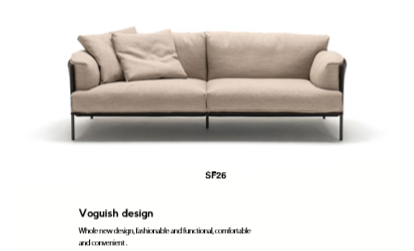 Modern Design 2 Seaters Fabric Sofa